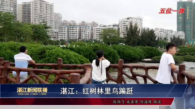 新闻图片