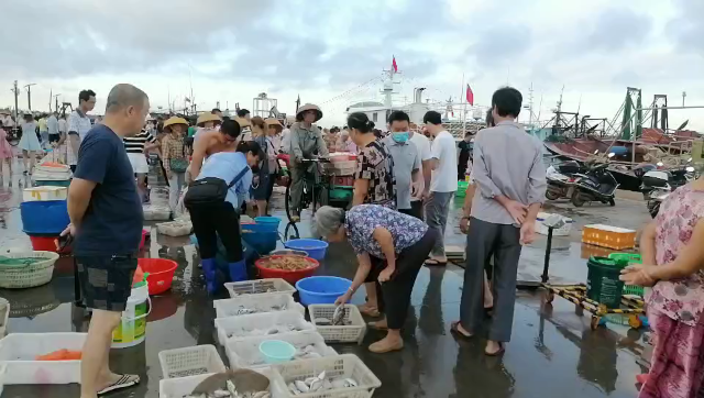 新闻图片
