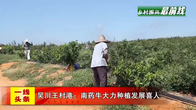 新闻图片