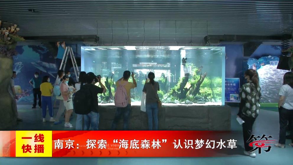 新闻图片