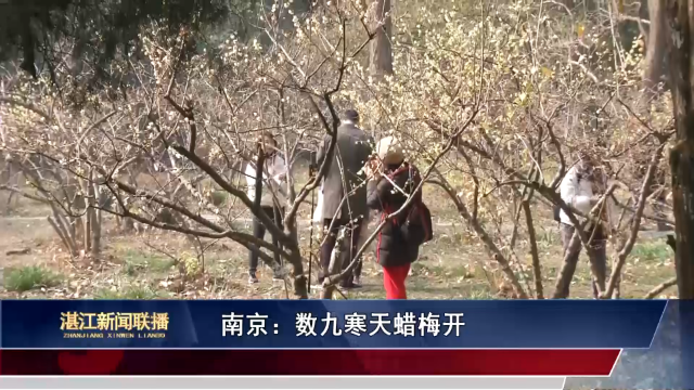 新闻图片