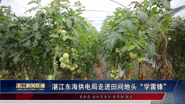 新闻图片