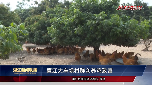 新闻图片