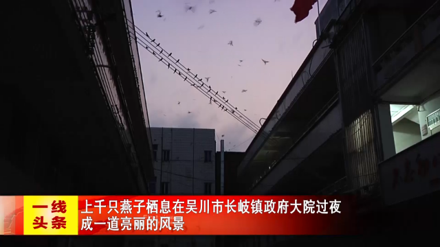 新闻图片