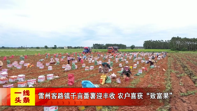 新闻图片