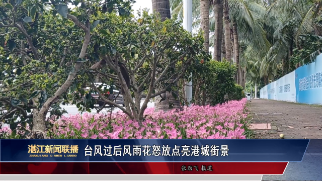 新闻图片