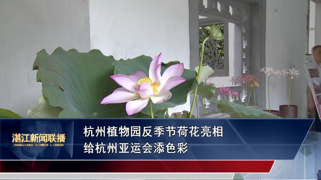 新闻图片