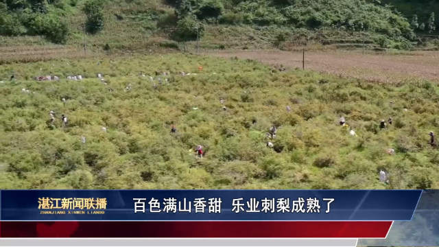 新闻图片