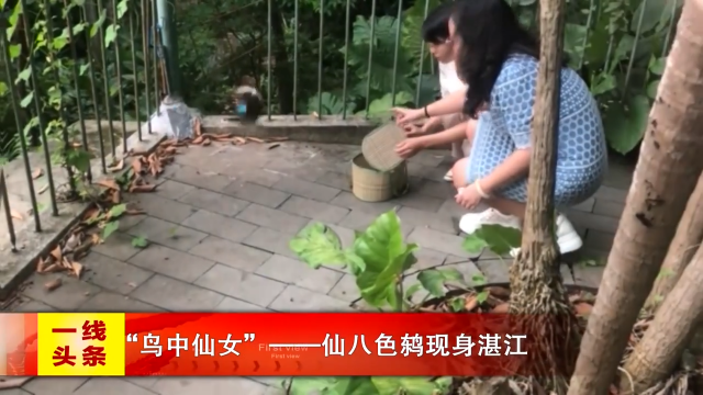 新闻图片