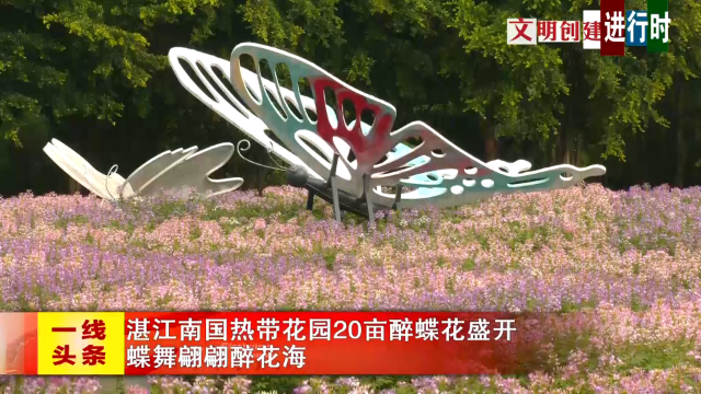 新闻图片