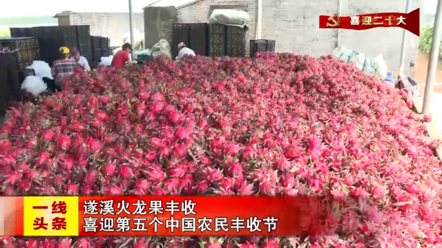 新闻图片