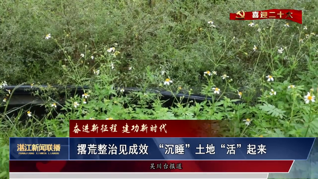 新闻图片