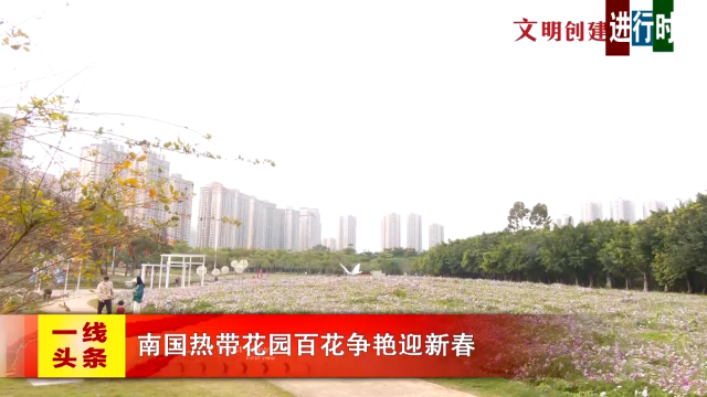 新闻图片