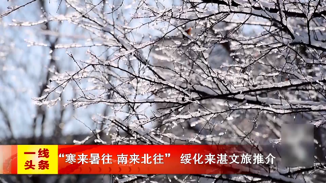 新闻图片
