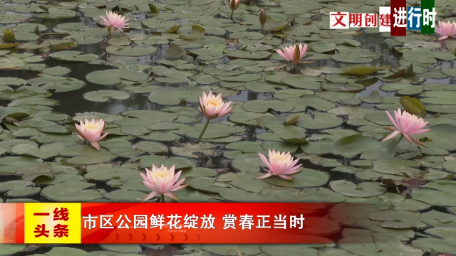 新闻图片