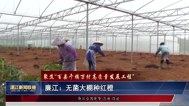 新闻图片