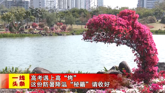 新闻图片