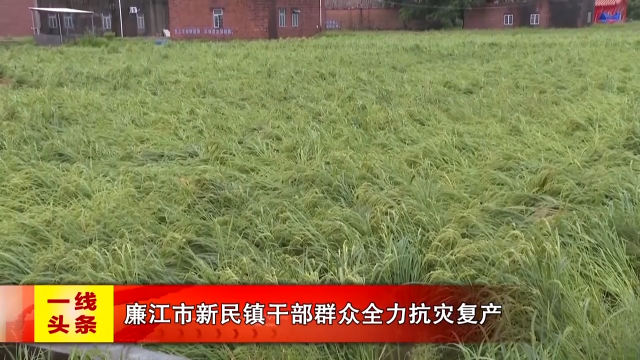 新闻图片