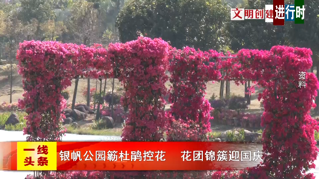新闻图片