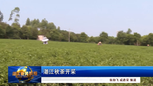 新闻图片