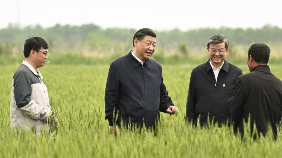 新闻图片