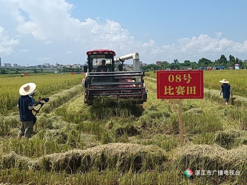 新闻图片