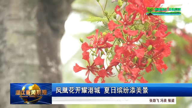 新闻图片