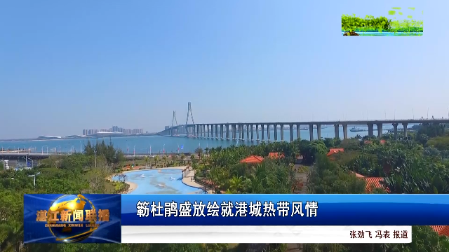 新闻图片
