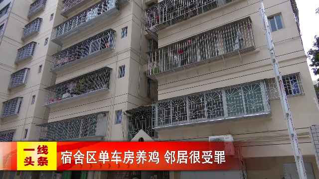 新闻图片