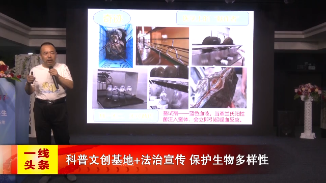 新闻图片