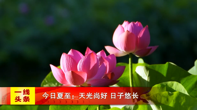 新闻图片