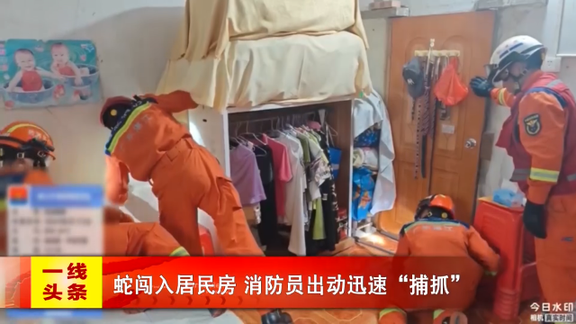 新闻图片