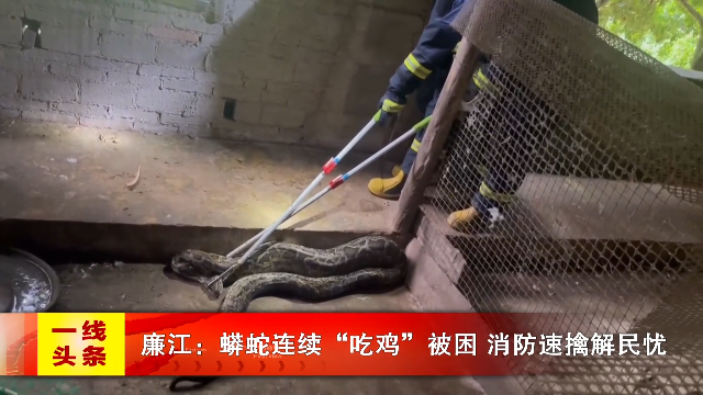 新闻图片