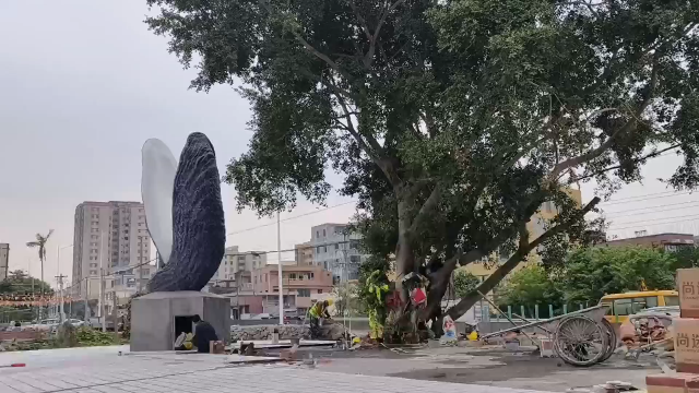 新闻图片
