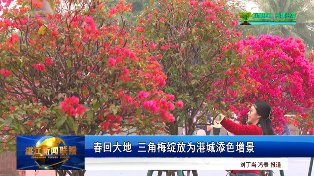 新闻图片