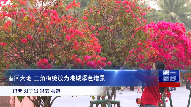 新闻图片
