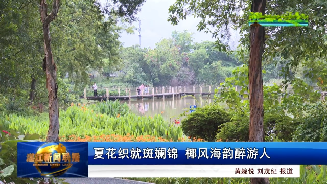 新闻图片