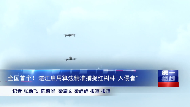 新闻图片