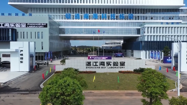 新闻图片