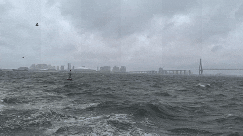 IMG_0494.GIF
