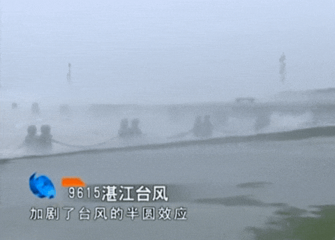 莎莉.GIF