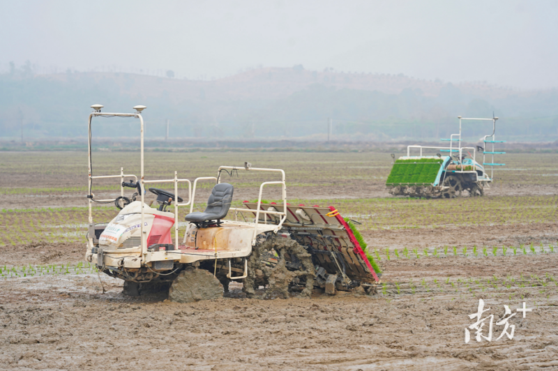 全省春耕现场会现场。南方日报记者 戴嘉信 摄